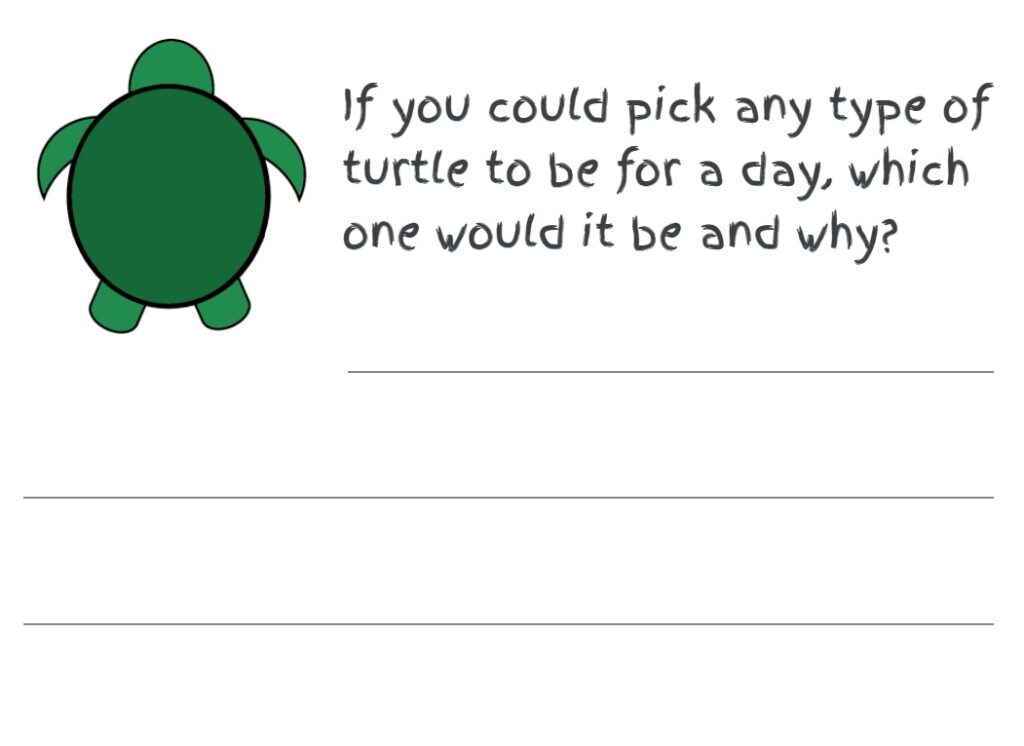 Learn & Play – Fun, Inexpensive, & Amazing Activities All About Turtles ...